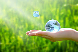 온라인카지노 먹튀 검증의 중요성