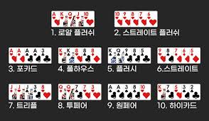 카지노 홀덤 게임 규칙과 기본 전략