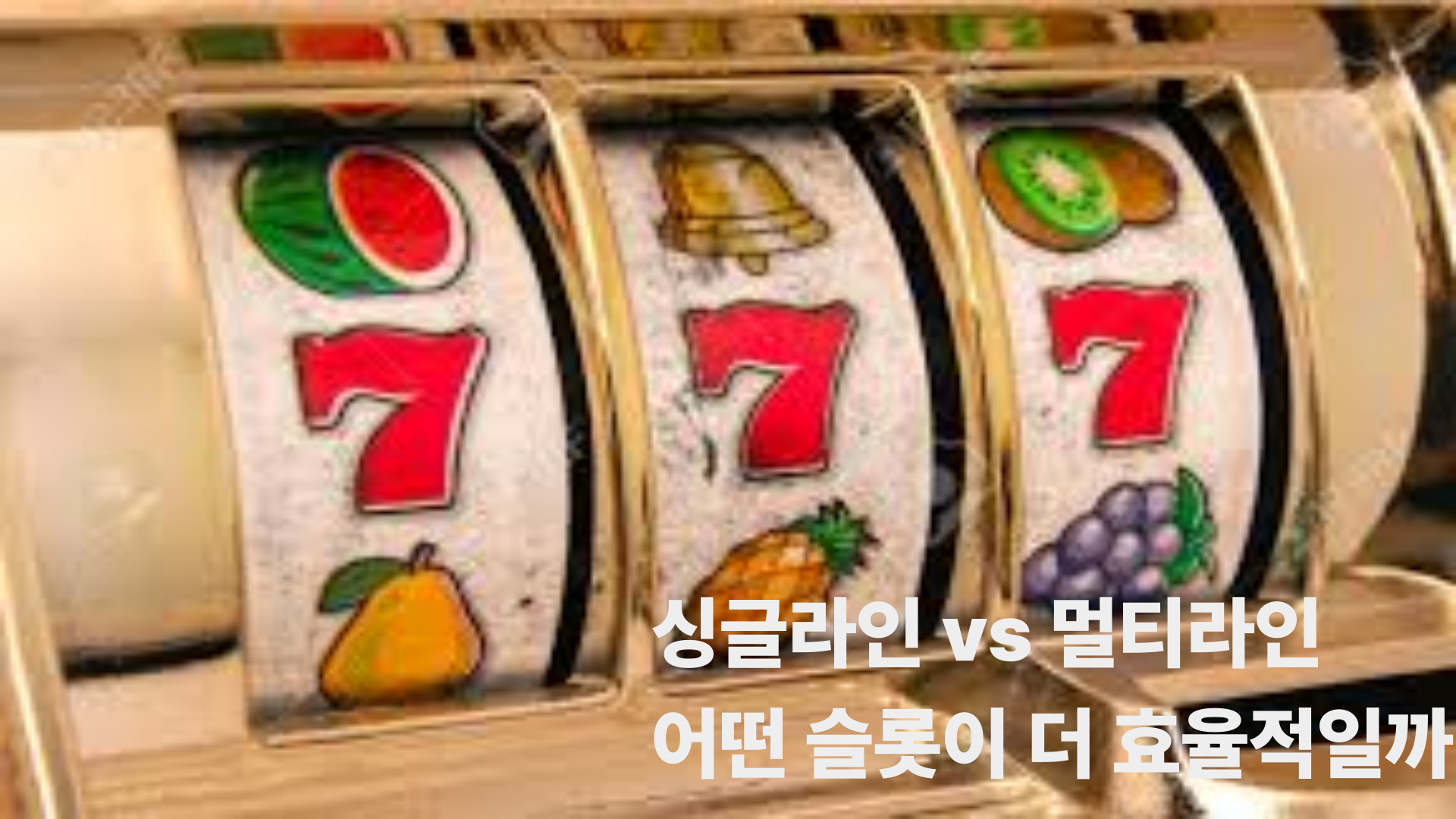 싱글라인 vs 멀티라인, 어떤 슬롯이 더 효율적일까?