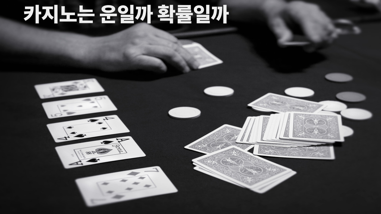 카지노는 운일까 확률일까