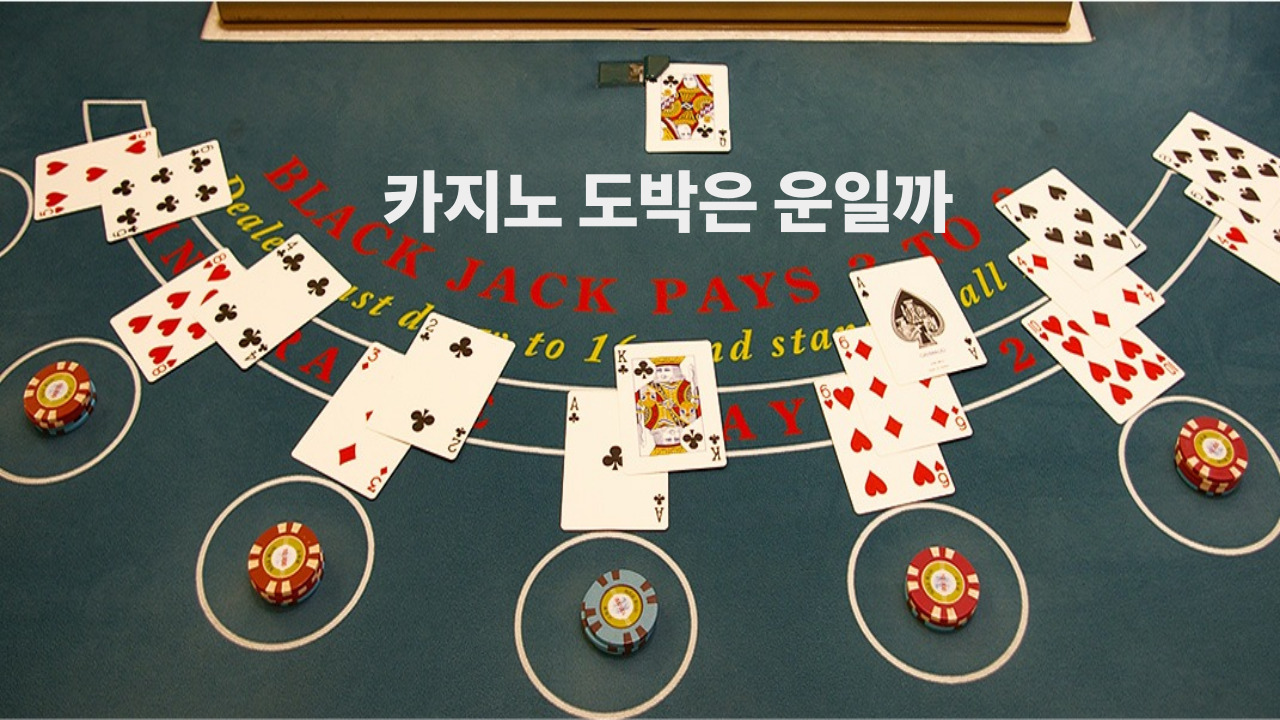 카지노 도박은 운일까