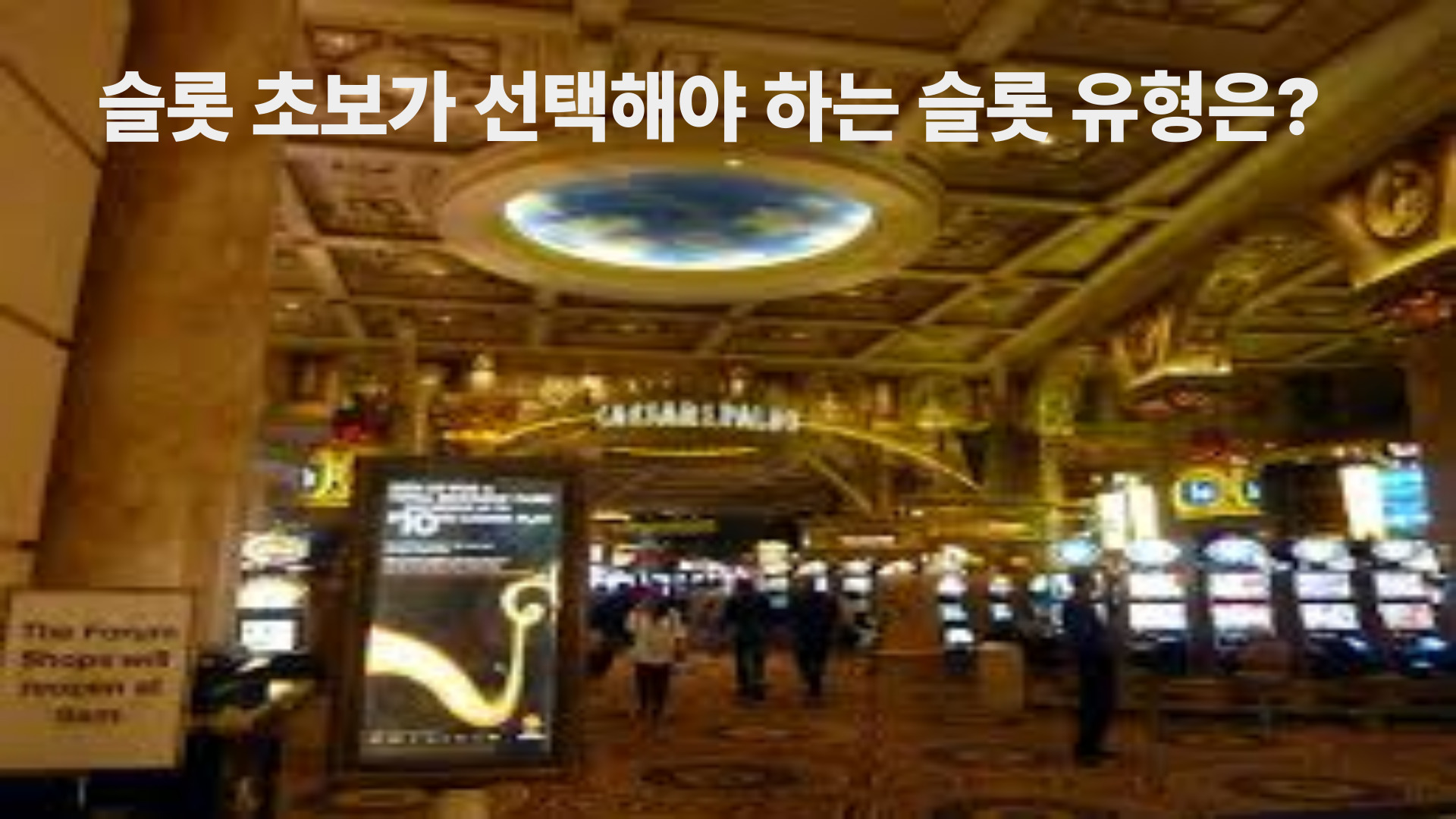 슬롯 초보가 선택해야 하는 슬롯 유형은?