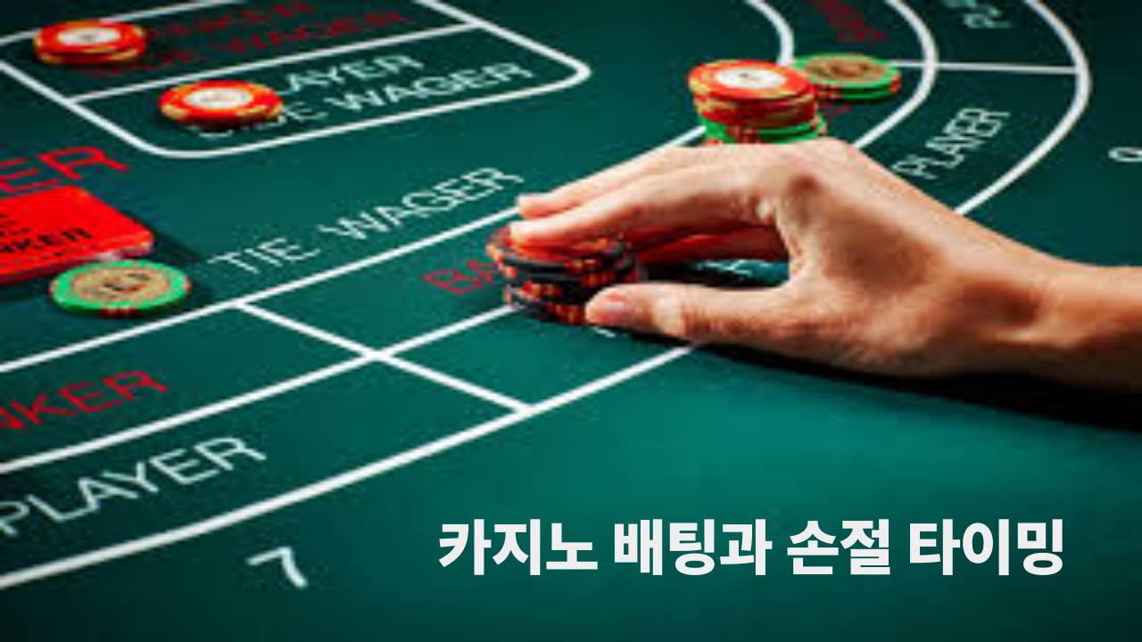 카지노 배팅과 손절 타이밍