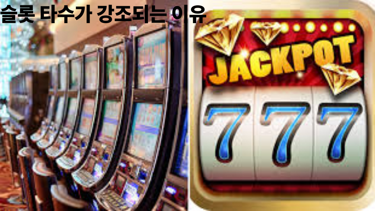 슬롯 타수가 강조되는 이유