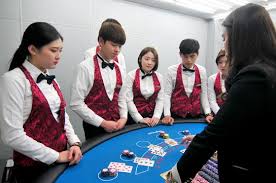 카지노 딜러는 어떤 교육을 받는가?              