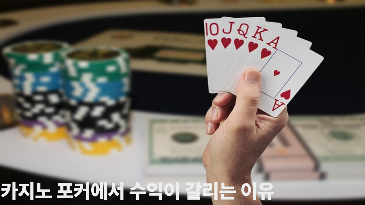 카지노 포커에서 수익이 갈리는 이유