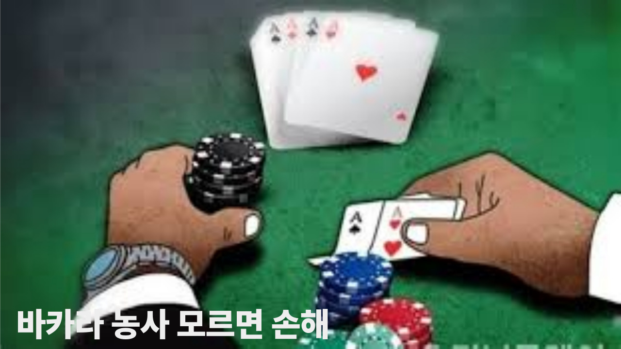 바카라 농사 모르면 손해