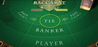 바카라에서 ‘타이(Tie)’는 왜 비추천되는가?