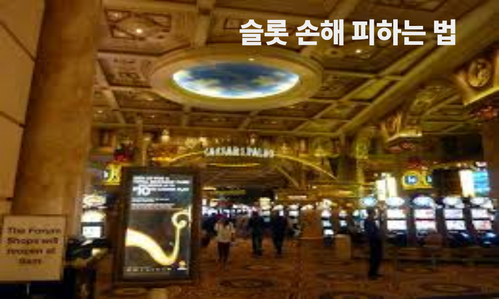 슬롯 손해 피하는 법