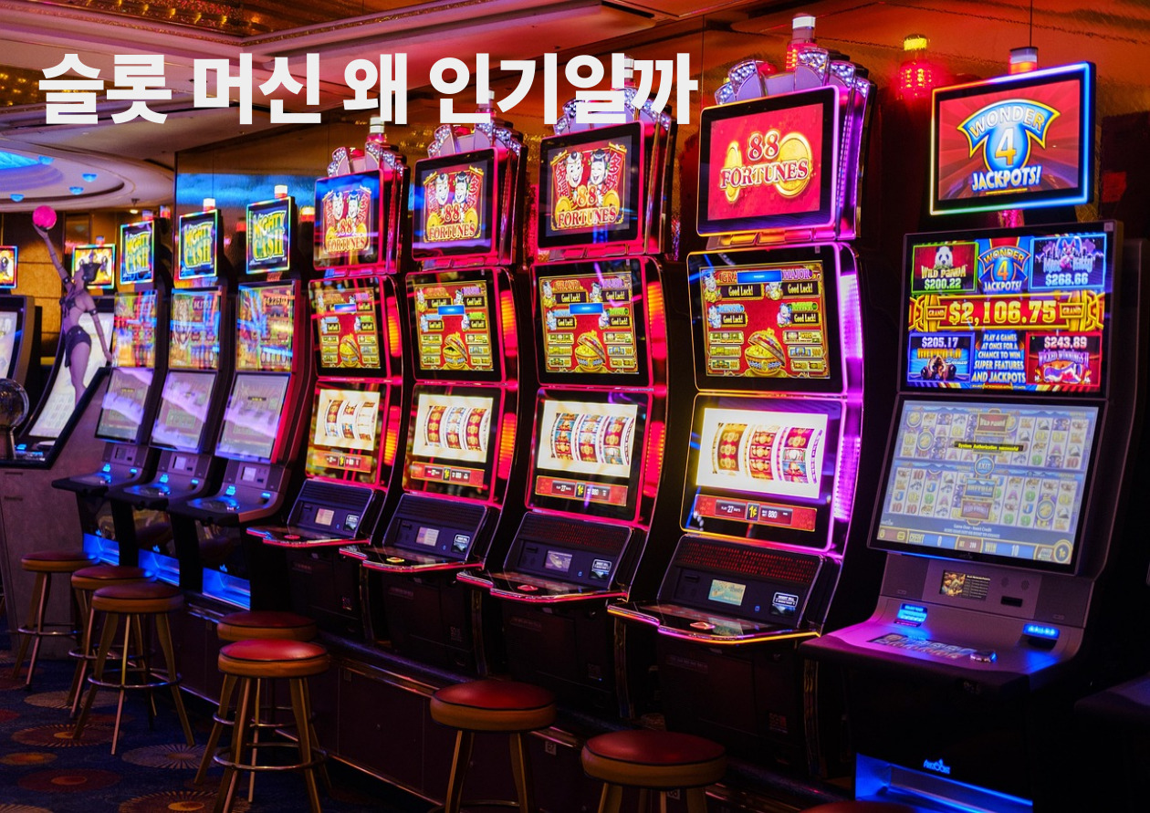 슬롯 머신 왜 인기일까