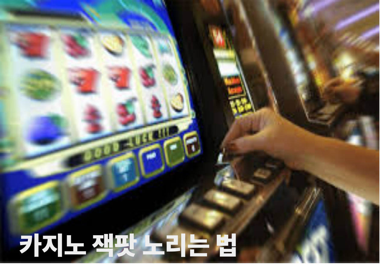 카지노 잭팟 노리는 법