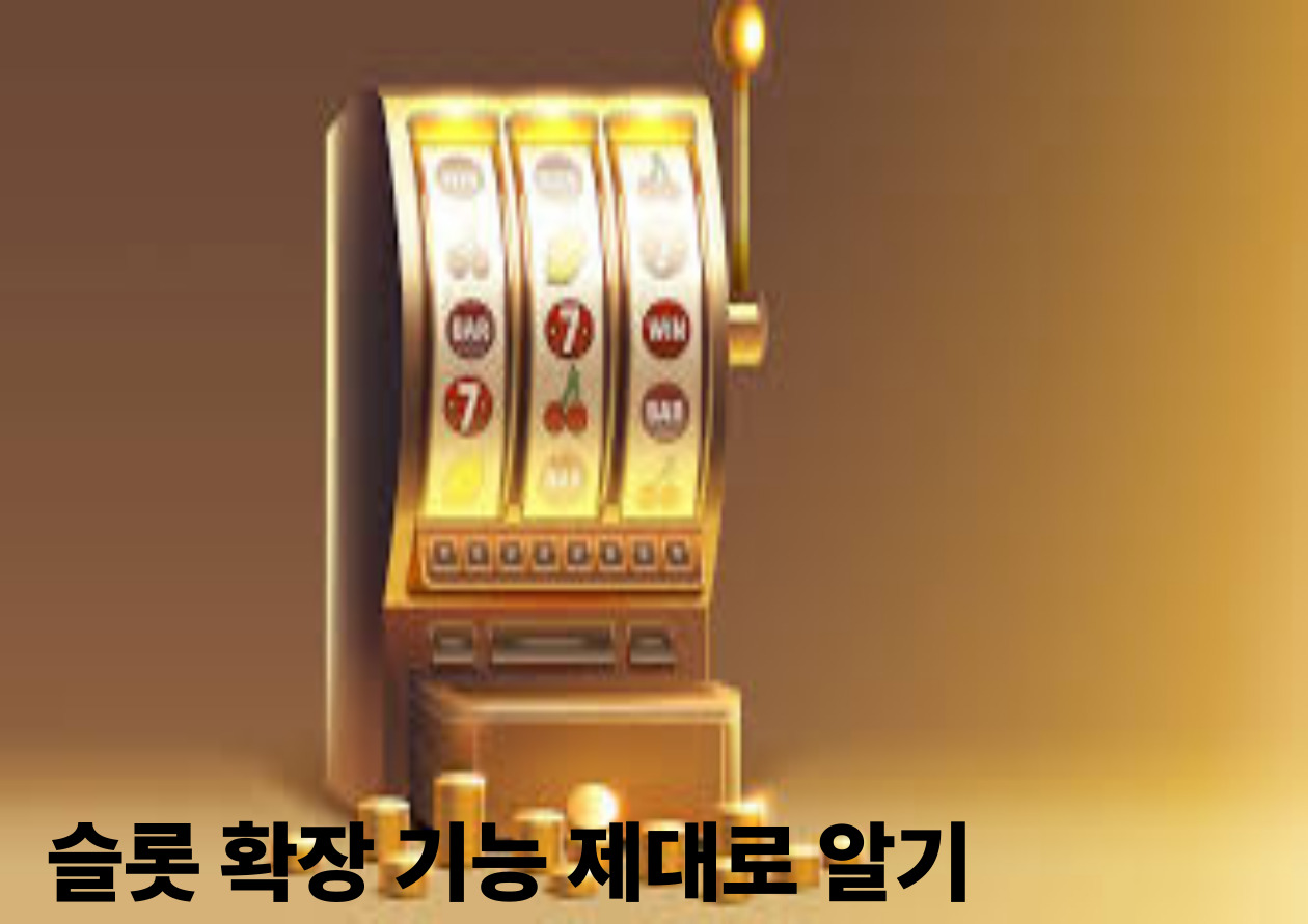 슬롯 확장 기능 제대로 알기