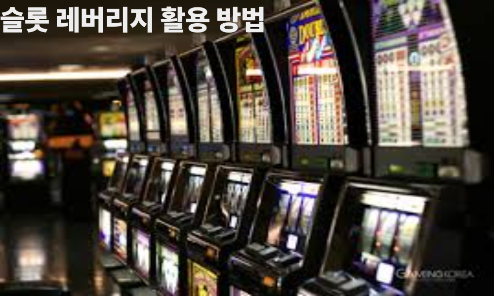 슬롯 레버리지 활용 방법