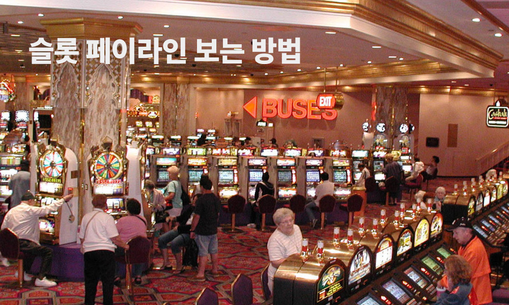 슬롯 페이라인 보는 방법