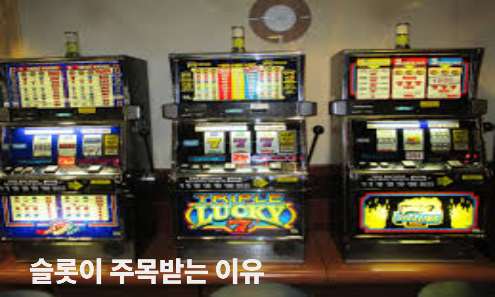 슬롯이 주목받는 이유
