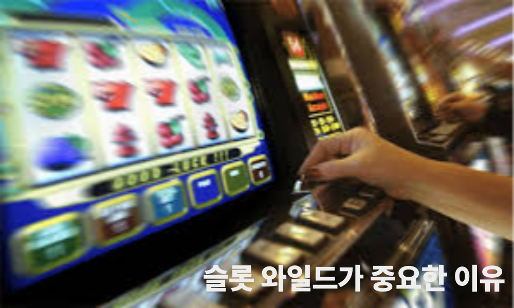 슬롯 와일드가 중요한 이유