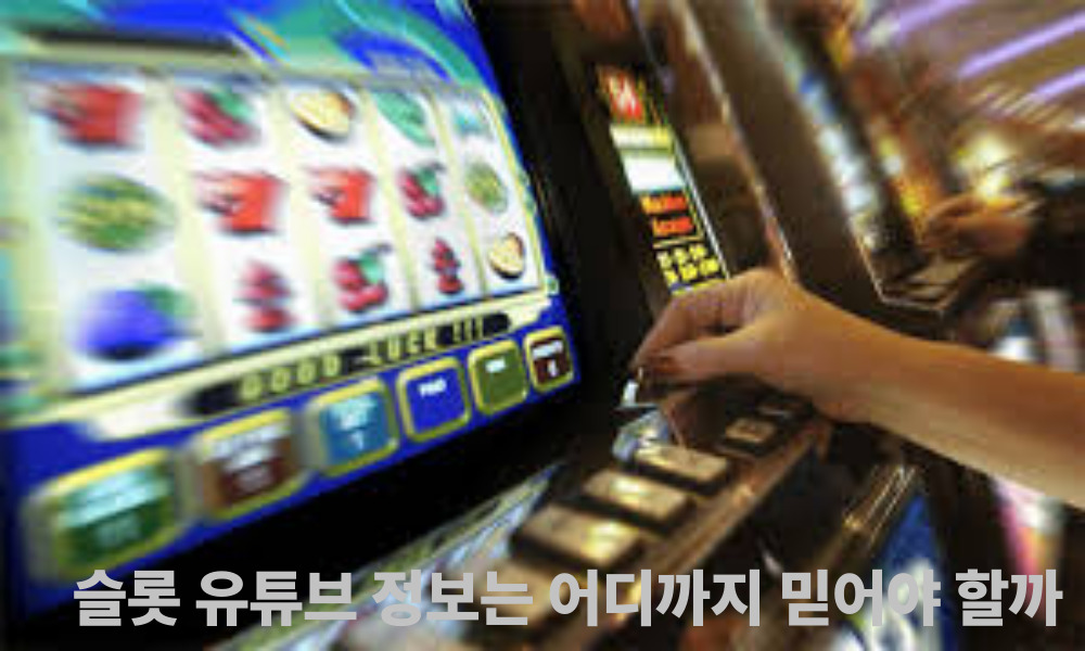슬롯 유튜브 정보는 어디까지 믿어야 할까