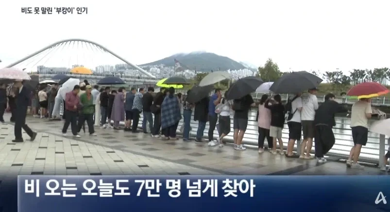 0원으로-만든-부산상어-홍보효과-근황