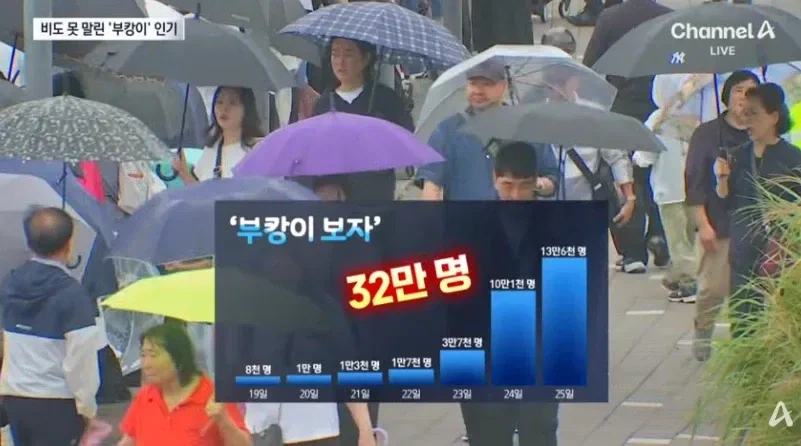 0원으로-만든-부산상어-홍보효과-근황
