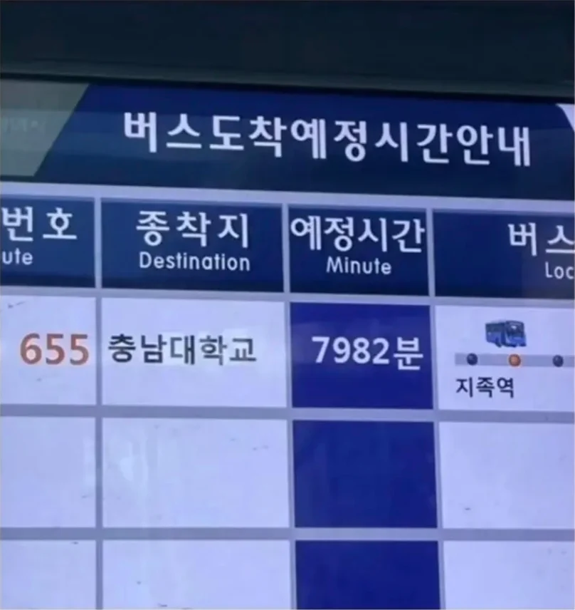 느긋한-충청도-버스