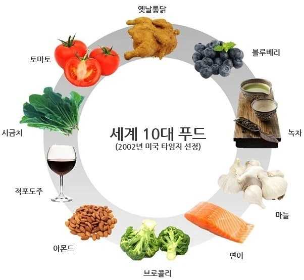 세계10대푸드-함정-찾을수있는분-있음