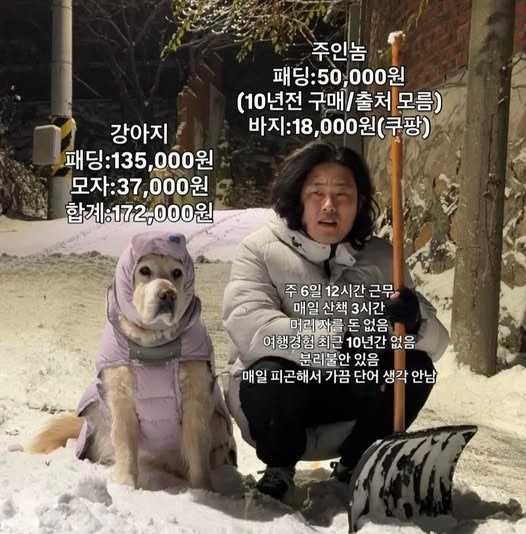 강아지-키우고-싶어하는-마음-돌려야-할때