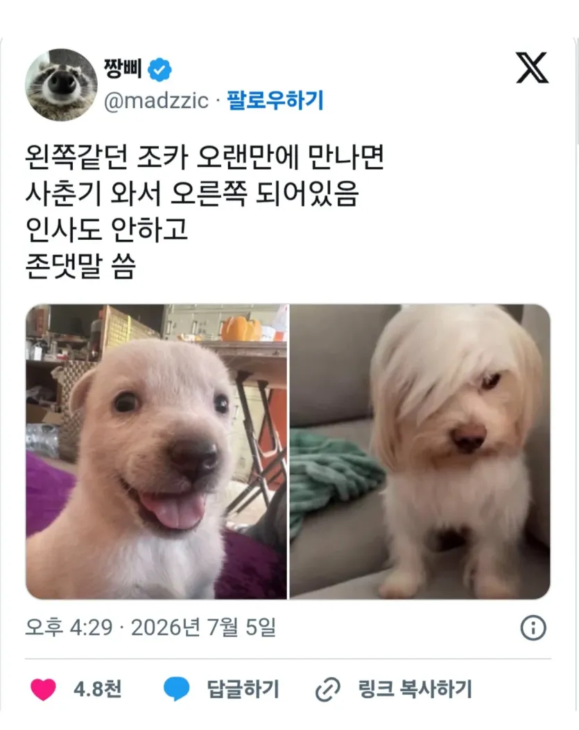 오랜만에-만난-조카-특징