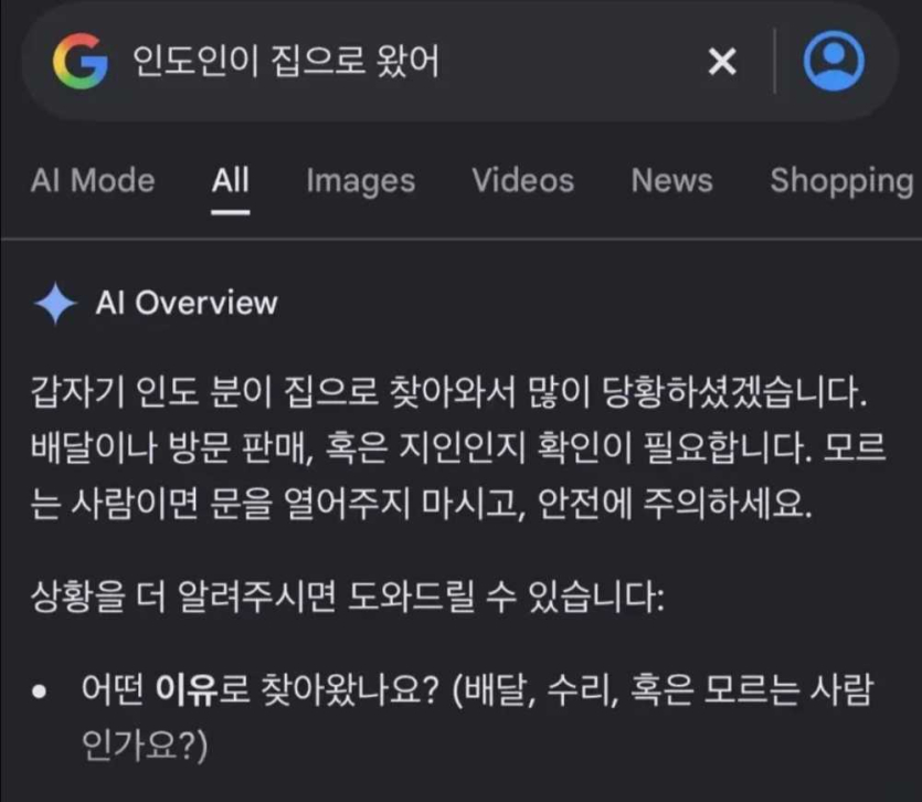 외국인이-집에-왔을때-구글ai-검색-반응