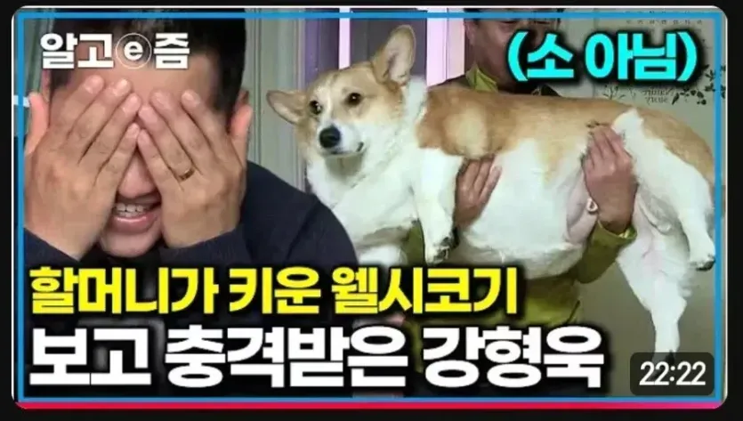 강형욱도-기겁한-동물확대-ㄷㄷㄷ