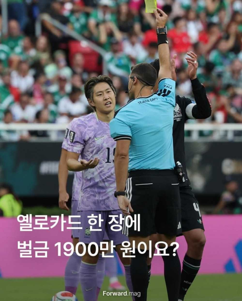 월드컵-옐로카드-1장당-벌금-1900만원