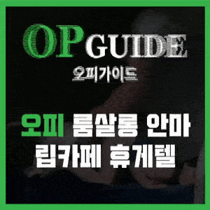 오피가이드